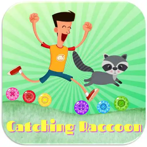 Play Catching Raccoon! APK Play Catching Raccoon! APK