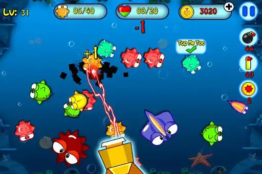 Play Catch Naughty Fishes