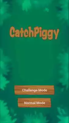 Play Catch piggy