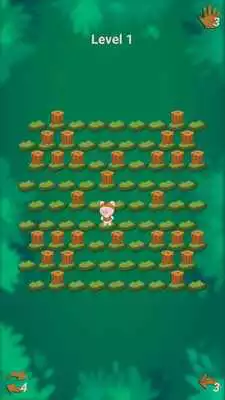 Play Catch piggy