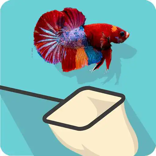 Play Catch the Betta APK Play Catch the Betta APK