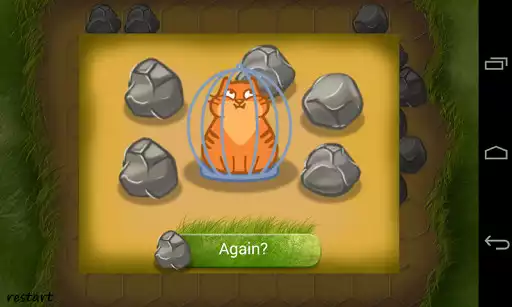 Play Catch The Cat