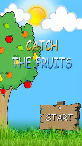 Play Catch The Fruits