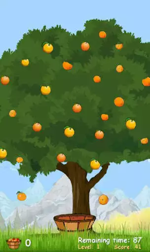 Play Catch The Fruits