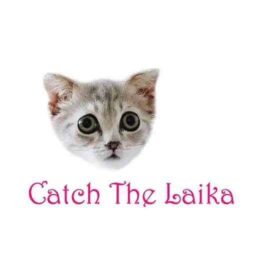 Play Catch The Laika APK Play Catch The Laika APK
