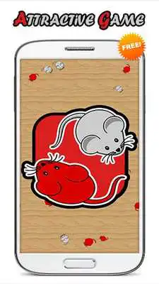 Play Catch The Mouse 2