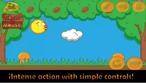 Play Catch the mouse as an online game Catch the mouse with UptoPlay