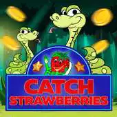 Free play online Catch the Strawberry APK