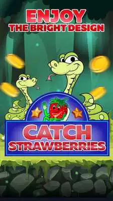 Play Catch the Strawberry