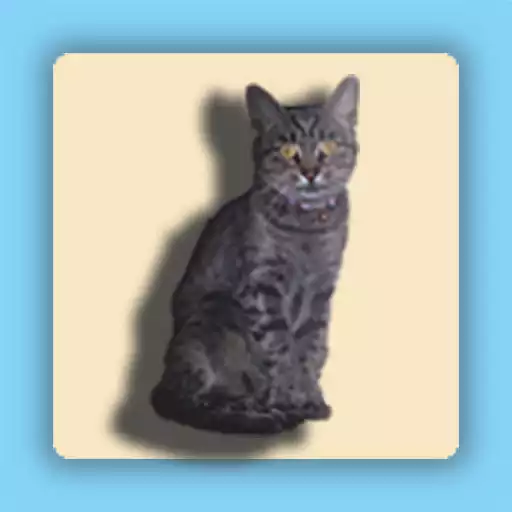 Play Cat Clock Free APK Play Cat Clock Free APK