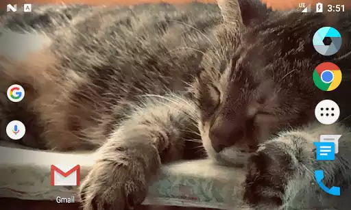 Play Cat Clock Free  and enjoy Cat Clock Free with UptoPlay