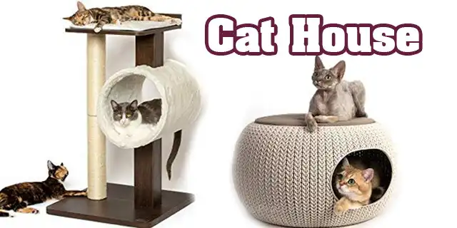 Play Cat Condo Ideas as an online game Cat Condo Ideas with UptoPlay