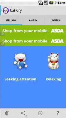 Play Cat Cry Play Cat Cry