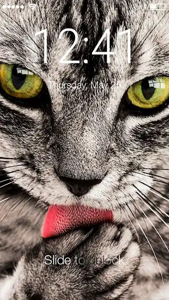 Play Cat Cute Kitten Little Wallpap and enjoy Cat Cute Kitten Little Wallpap with UptoPlay Play Cat Cute Kitten Little Wallpap and enjoy Cat Cute Kitten Little Wallpap with UptoPlay