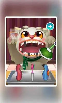 Play Cat Dental-Crazy Dentist