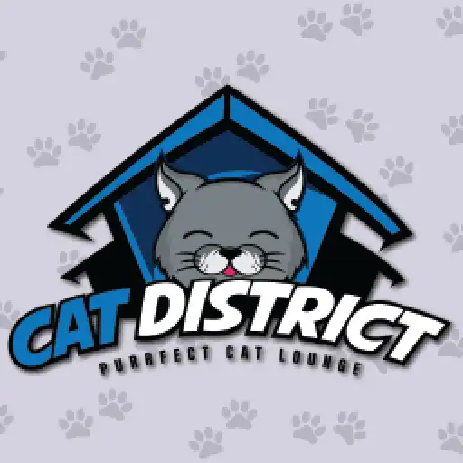 Play Cat District APK Play Cat District APK
