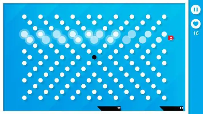 Play Cat  Dots