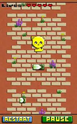 Play Cat Drop