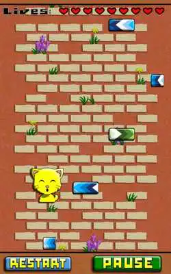 Play Cat Drop