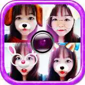 Free play online Cate Face APK