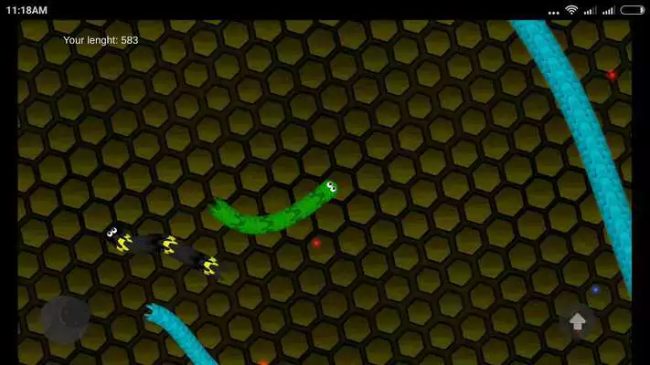 Play caterpillar.io