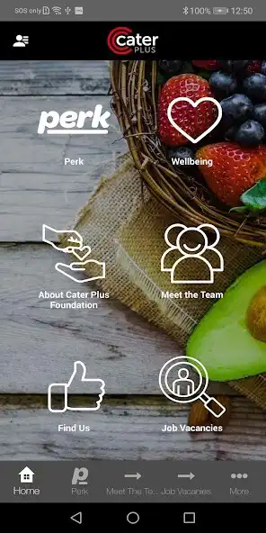 Play Cater Plus  and enjoy Cater Plus with UptoPlay