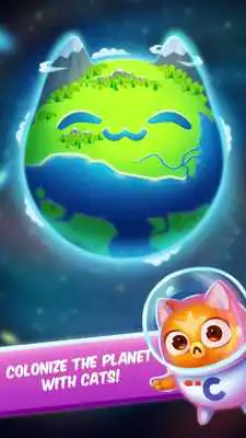 Play Cat Evolution