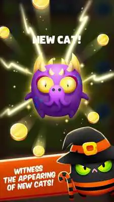 Play Cat Evolution