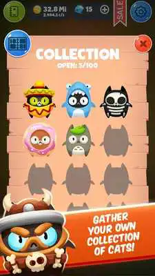 Play Cat Evolution