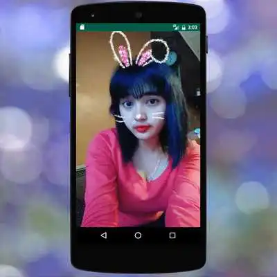Play Cat Face Filters