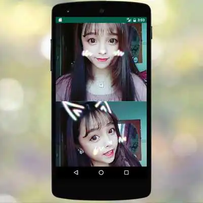 Play Cat Face Filters