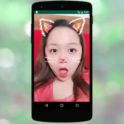 Play Cat Face Filters