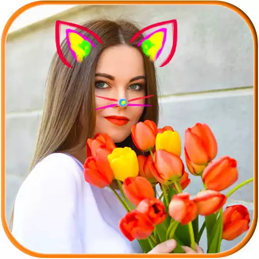 Free play online Cat Face Photo Editor APK Free play online Cat Face Photo Editor APK