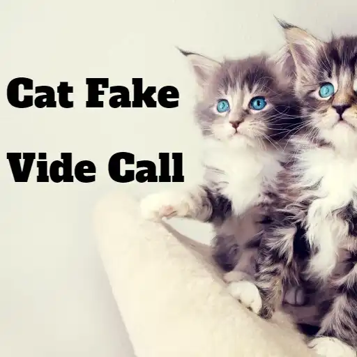 Play Cat Fake Call Simulator APK