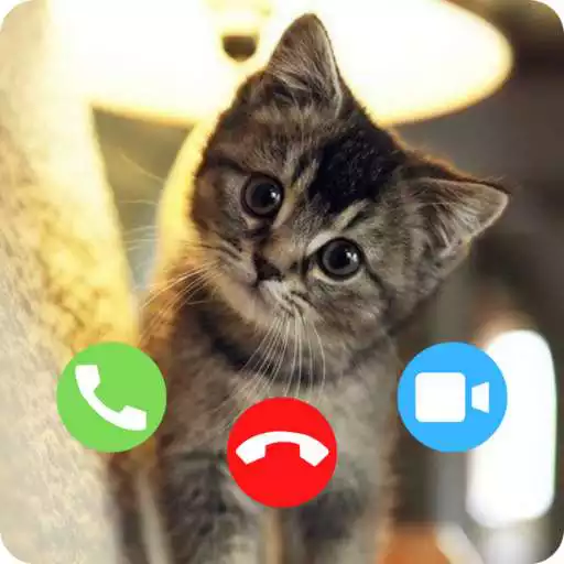 Play Cat Fake Video Call prank APK Play Cat Fake Video Call prank APK