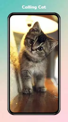 Play Cat Fake Video Call prank  and enjoy Cat Fake Video Call prank with UptoPlay