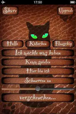 Play Cat FREE translator