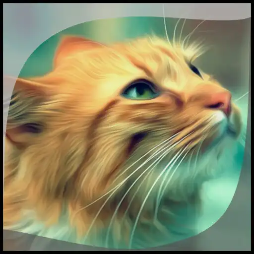 Free play online Cat Gallery APK
