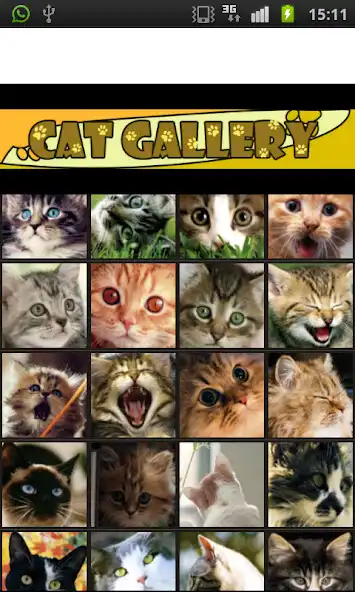 Play Cat Gallery