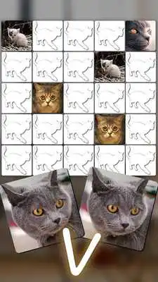 Play Cat Games Free: Cat puzzles games for all ages