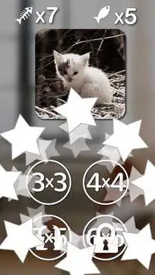 Play Cat Games Free: Cat puzzles games for all ages