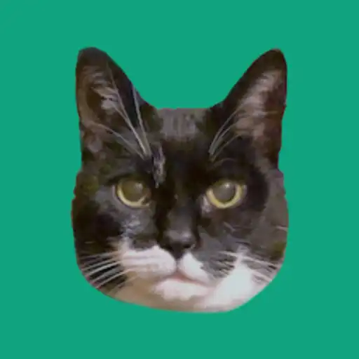 Play CatGPT - Meow Intelligence APK Play CatGPT - Meow Intelligence APK