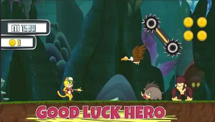 Play Cat Hero