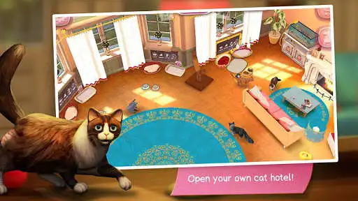 Play CatHotel - play with cute cats  and enjoy CatHotel - play with cute cats with UptoPlay