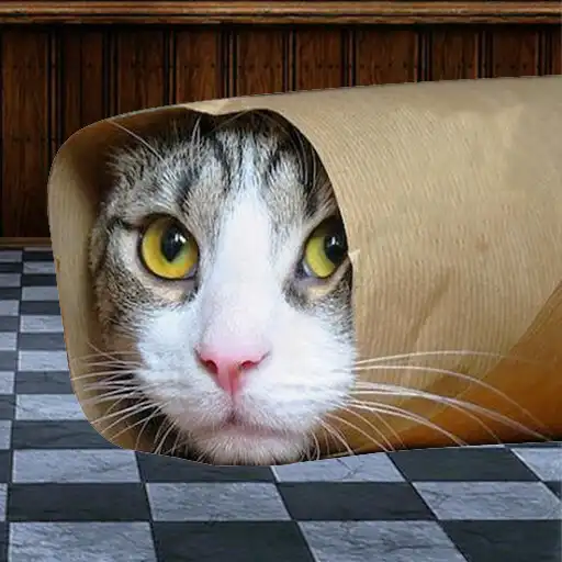 Play Cati : Funny cat and monkey APK