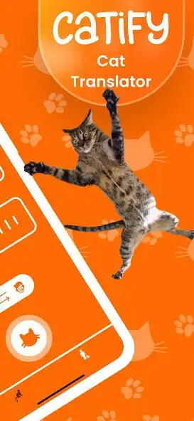 Play Catify: Cat Translator as an online game Catify: Cat Translator with UptoPlay