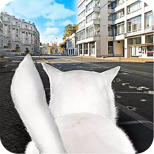 Free play online Cat In City Simulator  APK