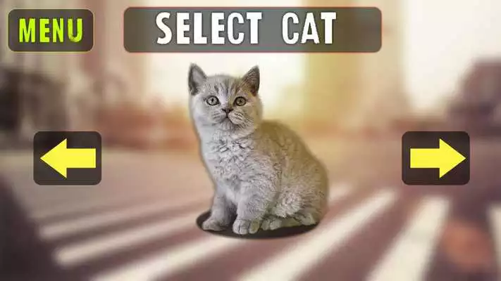 Play Cat In City Simulator Play Cat In City Simulator