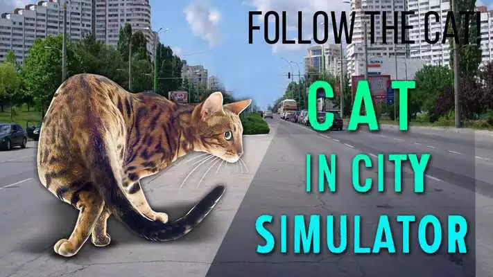 Play Cat In City Simulator Play Cat In City Simulator