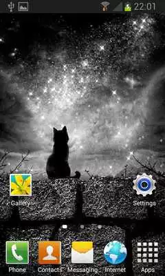 Play Cat In Night LWP